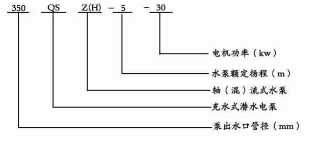 潜水轴流泵